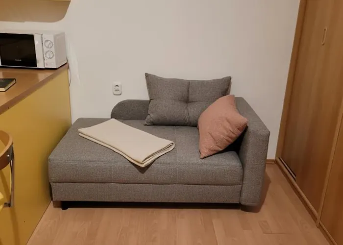 Donovaly Donio Apartment, Donovaly - Nova Hola 公寓 *